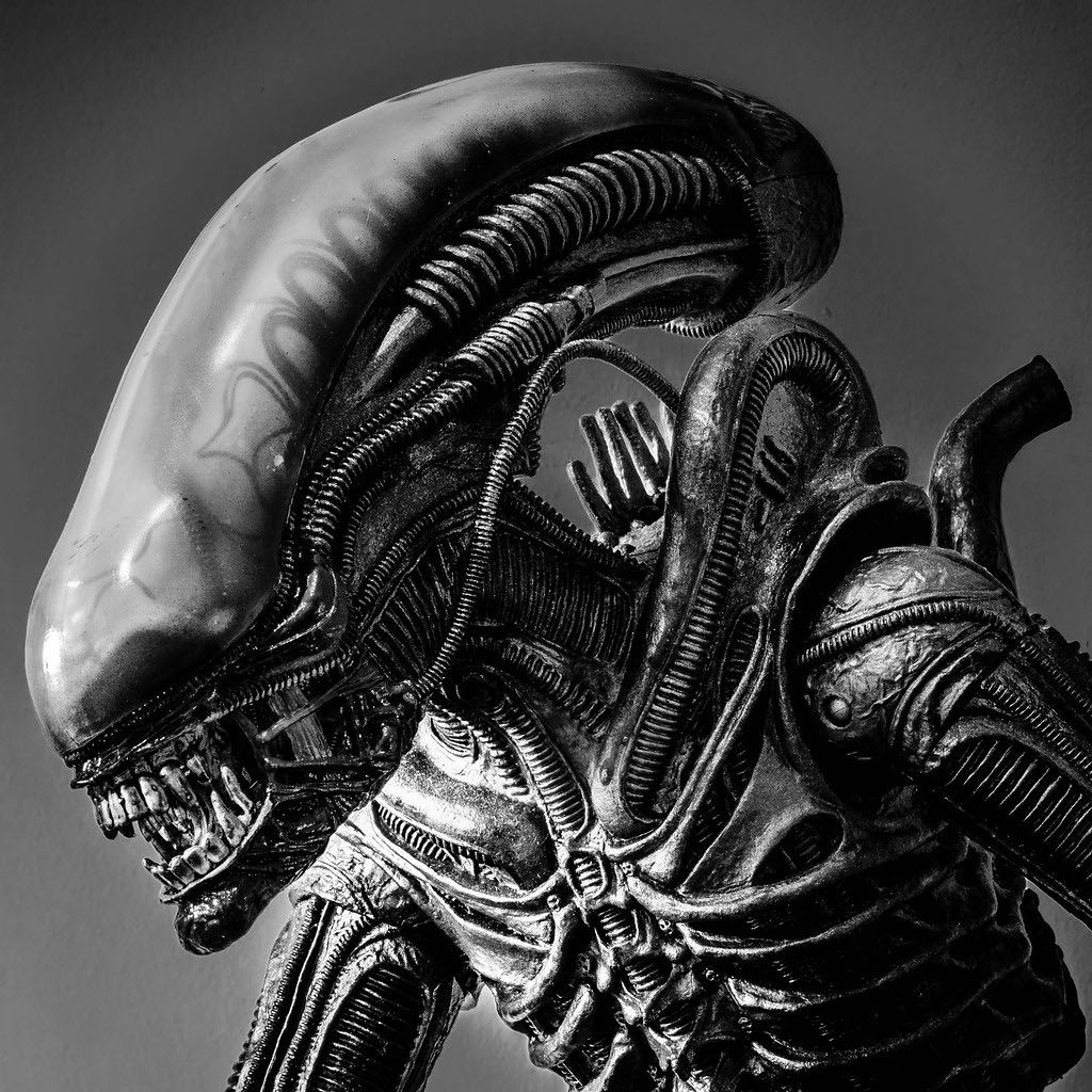 Luis Vazquez tweet media