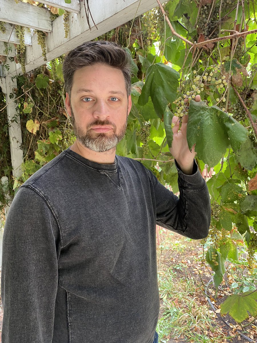 Torlin Torgersen🦊 tweet media