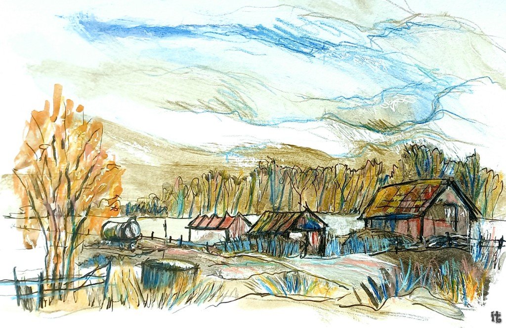 iterpstr's tweet photo. Wát een landelijk sfeertje daar in Zeddam, met drie schuren op een rij en de oranje berkenbomen🧡
#aquarel #kleurpotlood #vulpen #zeddam #korenhorsterweg #montferland @gem_montferland #farmerland #atmosphere #pleinairartist #gelderland https://t.co/OaDBO385pT