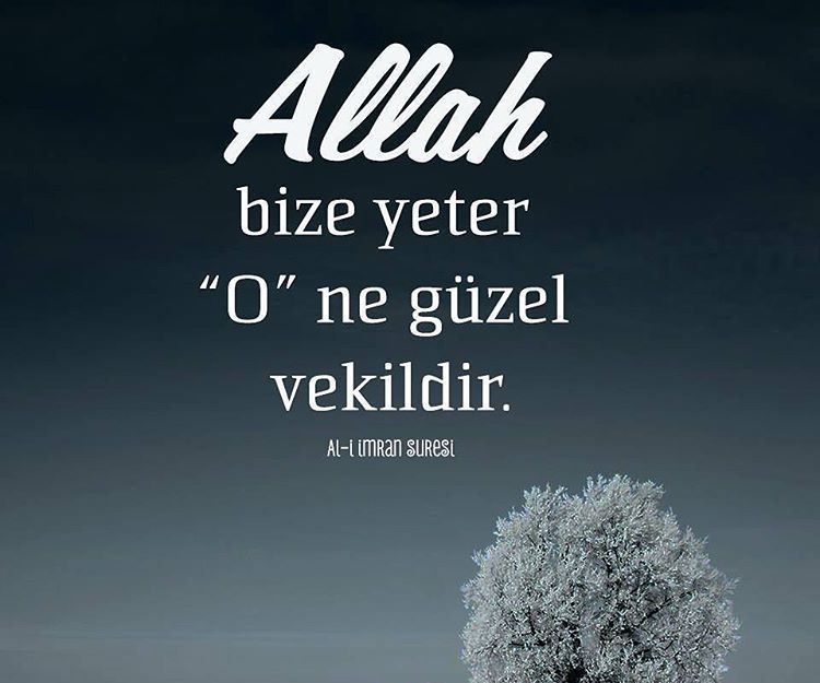 Yüce Allαh ﷻ buyuruyor ki:

🔸Yaratan Rabbinin adıyla oku!.
🔸O, insanı bir alekadan (embriyodan) yarattı.
🔸Oku! Rabbin sonsuz kerem sahibidir.
🔸Kalemle yazmayı öğreten O’dur.
🔸İnsana bilmediği her şeyi öğreten O’dur.
      -Alak suresi1-5

AYET
#AllahKelamıdır