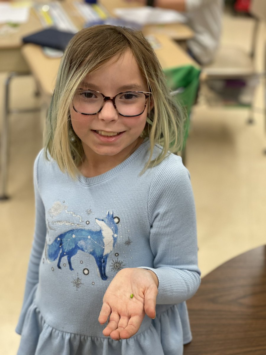 Finding the 5 reproductive structures of flowers! #LEchoosesHAPPY #DG58pride