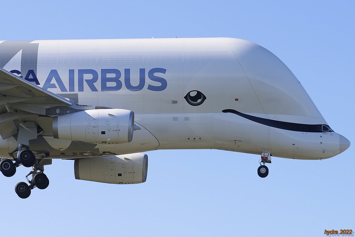 tous les airs y sont tweet media