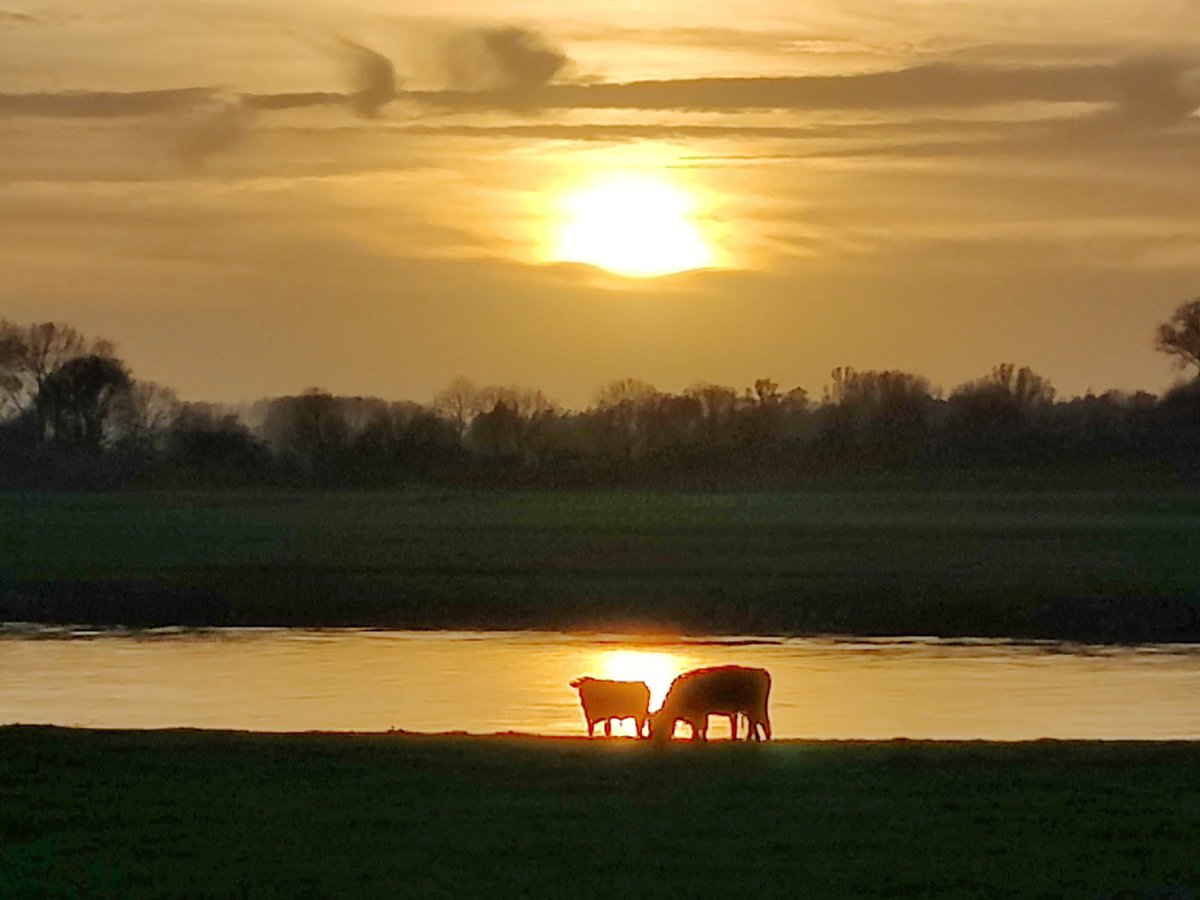 De sunset in  #Achterhoek was loeiend fraai. <a href="/REGIO8/">REGIO8</a> <a href="/ideaalnieuws/">RTV Ideaal</a> <a href="/weeronline/">Weeronline</a> <a href="/janvissersweer/">JAN VISSER</a> <a href="/wolvenne/">Mark Wolvenne</a> <a href="/mrmiddendorp/">Maurice Middendorp</a> <a href="/weermanrobert/">➡️ Robert de Vries</a> <a href="/Weerprimeur/">Marc Putto weerkundig strateeg / mediameteoroloog</a> @Talpaweer <a href="/EdAldus/">Ed Aldus</a> <a href="/BuienRadarNL/">Buienradar</a> <a href="/helgavanleur/">Helga van Leur ☀</a> <a href="/WeermanMichael/">Michael vd Poel</a>