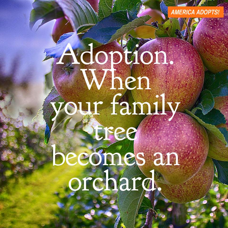 CanadaAdopts's tweet photo. Learn more about open adoption at https://t.co/Yyh7hIu3V4 #openadoption #hopetoadopt #hopingtoadopt https://t.co/jt1kmGFnH0