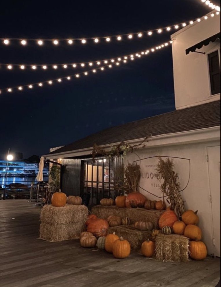 jetneyscamera's tweet image. 📸 jetney on thanksgiving