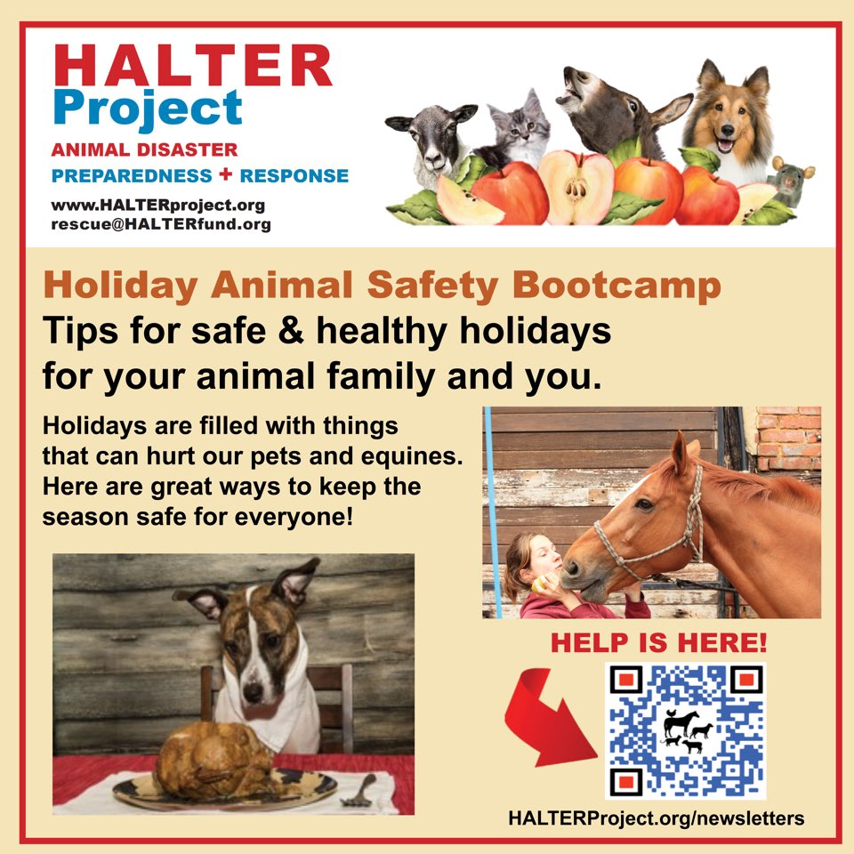Have a happy Thanksgiving—keep your animals healthy and safe, too! Tips for you and all your critters!#SafePets #HolidayPetHazards #Toxic4Pets #SafeSocializing