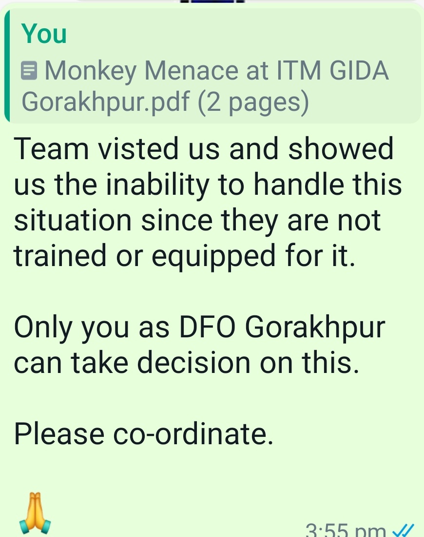DrVijayTiwariJi's tweet photo. @myogiadityanath @CMOfficeUP

It is unfortunate that #ForestDepartment of @UPGovt showed inability to solve the problem of #MonkeyMenace at @itmgkpofficial @Dm_Gorakhpur

We have #15thNWEA2022 
&amp; you can see that our gaurds are busy whole night with Monkeys

#Security #CyberNews https://t.co/RA7VD1BA8z