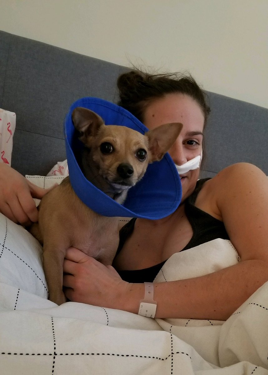 throwback to thanksgiving 2018 when neither my dog nor I could eat solid food.