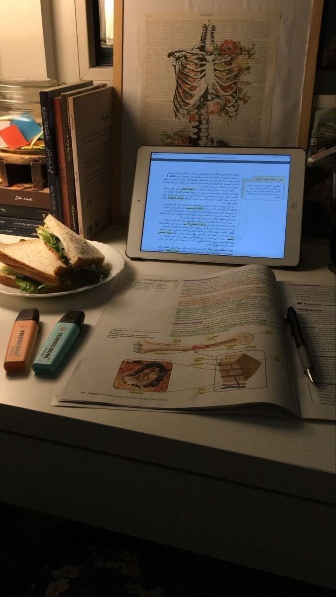 kiraspiderr's tweet photo. 🎞️ canais no ytb que podem te ajudar nos estudos 

- a thread para o #studytwt e #studytwtbr https://t.co/pxpYQGqYtw