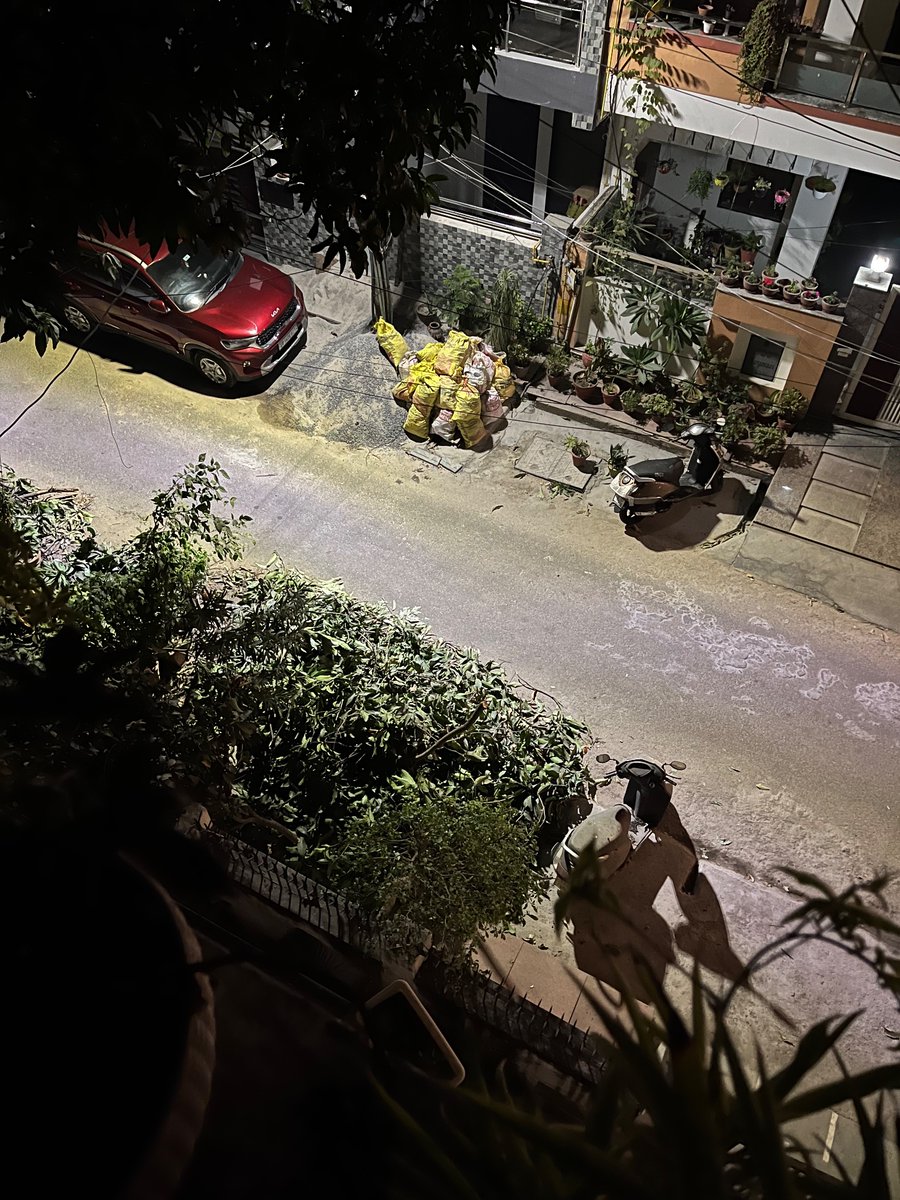 murali_nik's tweet photo. Is that a parking Spot!
No, @NoidaAuthority pruned a tree 🌲 03 days back… 
parking spot is laid to rest 😅 https://t.co/CCusDo3TSa