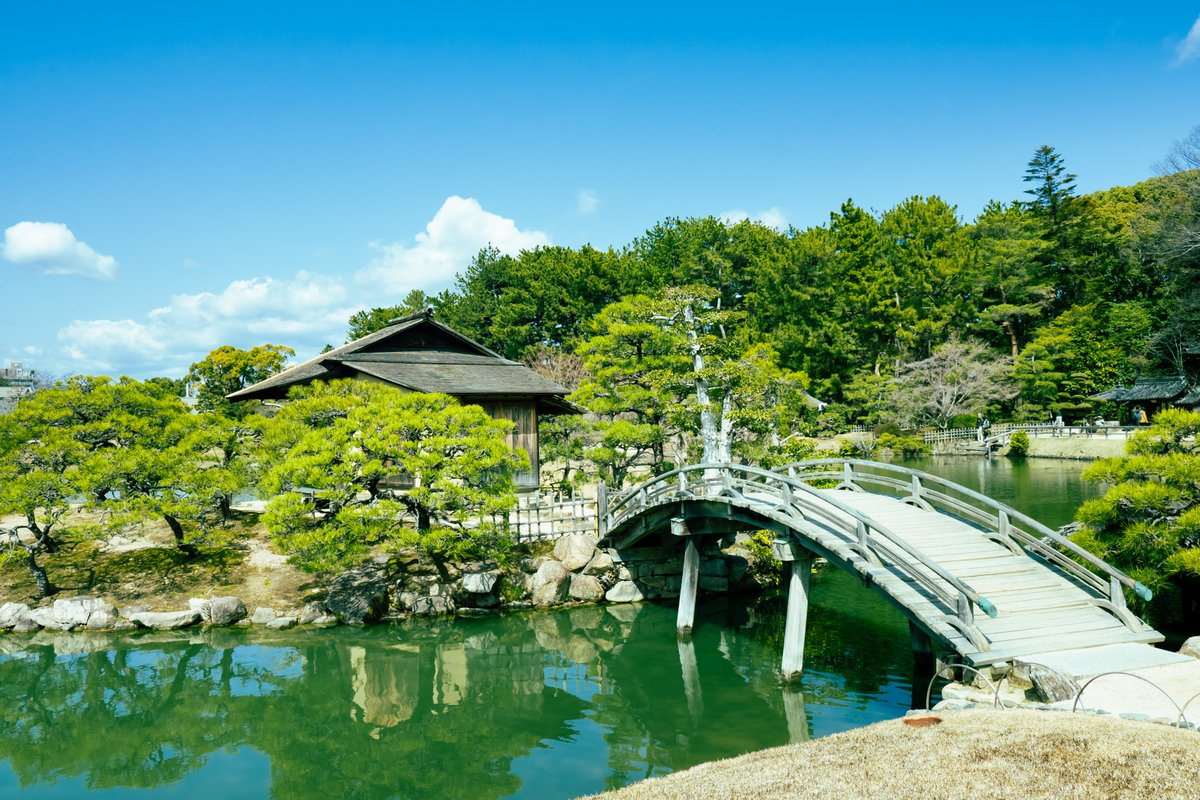 ExploreJapanAR's tweet photo. هذه هي حديقة كوراكوين الواقعة في أوكاياما، وهي واحدة من ثلاثة حدائق كبيرة في اليابان.  وتغطي المناظر الطبيعية المتدحرجة فيها 144000 مترمربع، هنا يمكنكم الاستمتاع بمشهد المروج الكبيرة والبرك وأشجار البرقوق والساكورا والجسور مع خلفية قلعة أوكاياما الجميلة💚🏯 https://t.co/h7EyBsXRXA
