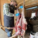 Photo by Faraday Farmstead (@FaradayBrian)