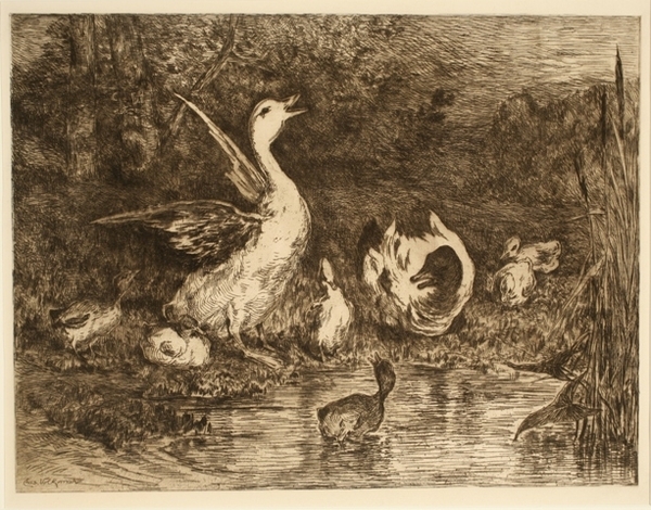 Happy Thanksgiving, Tacoma! Hope your thanksgiving celebrations are as filled with joy and laughter as 'A Family of Quacks!' Charles Volkmar, 'A Family of Quacks,' 1884. Etching on paper, 12 3/4 x 16 3/4 in. (32.4 x 42.5 cm). Anonymous Gift.