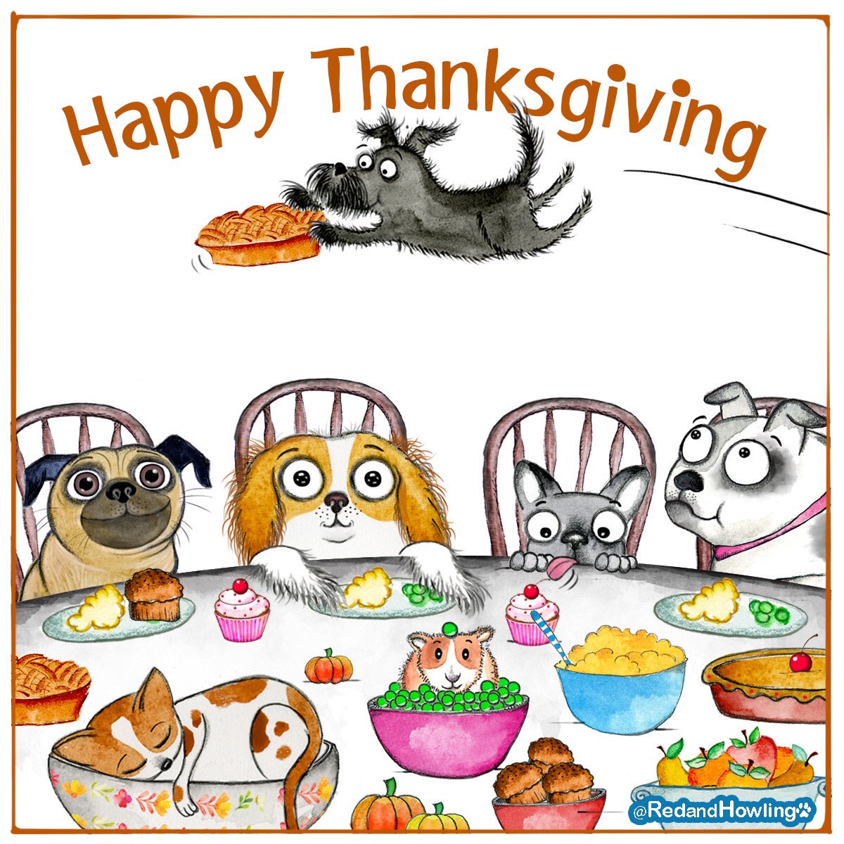 #HappyThanksgiving to #allbeings