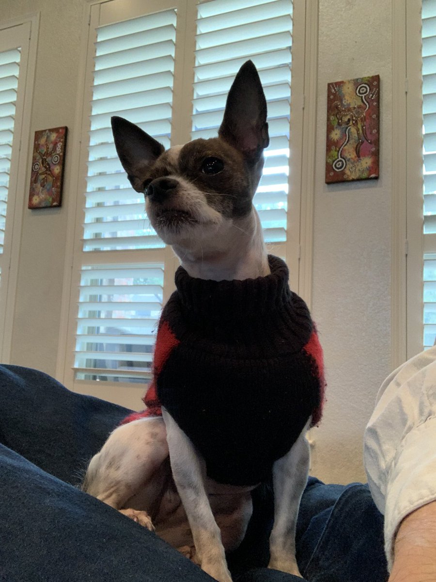 She noticed that Ghana scored. 

#FIFAWorldCup
