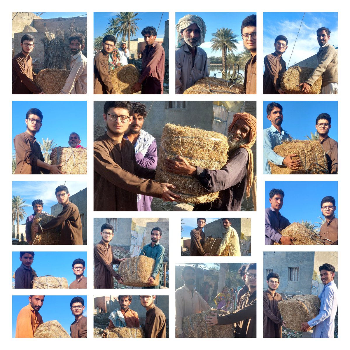 hafizalbadar2's tweet photo. آج بھی مویشیوں کیلئے متاثرین میں 100 من بھوسا تقسیم کیا گیا https://t.co/yS6Pzol7bV