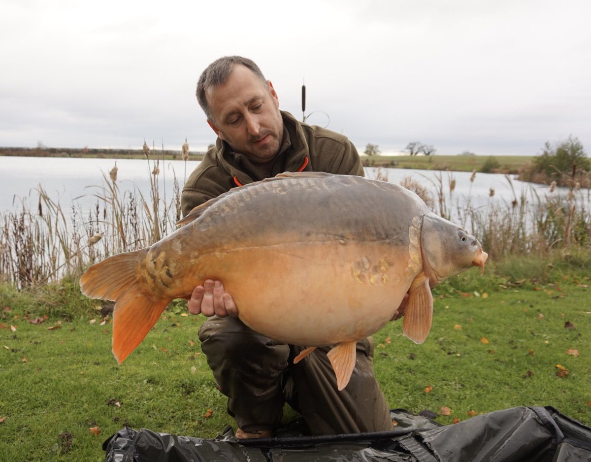 simonpearson8's tweet photo. Fantastic first day on Monument 2. A very warm welcome return back to the bank for a fish I caught and named back in November 2016 at 30lb
Today she graced the bank at a whopping 45-02. Fair to say we have both put some weight on since then 😂 Same peg, same spot, same rig style https://t.co/3Fe9SDwZ2R