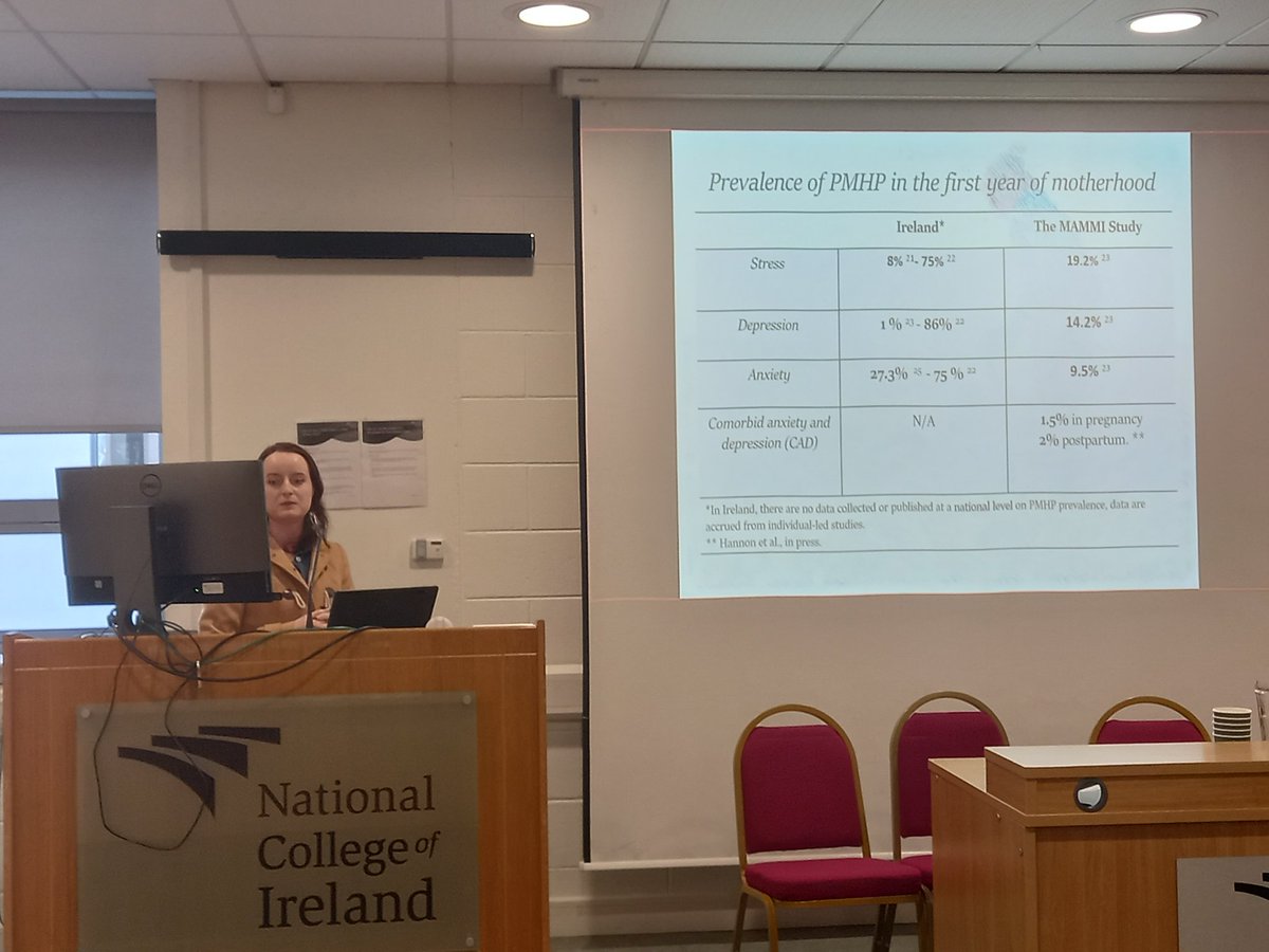 Delighted to share the MAMMI study findings with the Prevention and Early Intervention Network, Home Visiting Alliance and Area-Based Childhood Programmes. Collaboration could really help improve services for women and their families. @SusieHannon_irl @TCD_SNM @PEIN_Ire