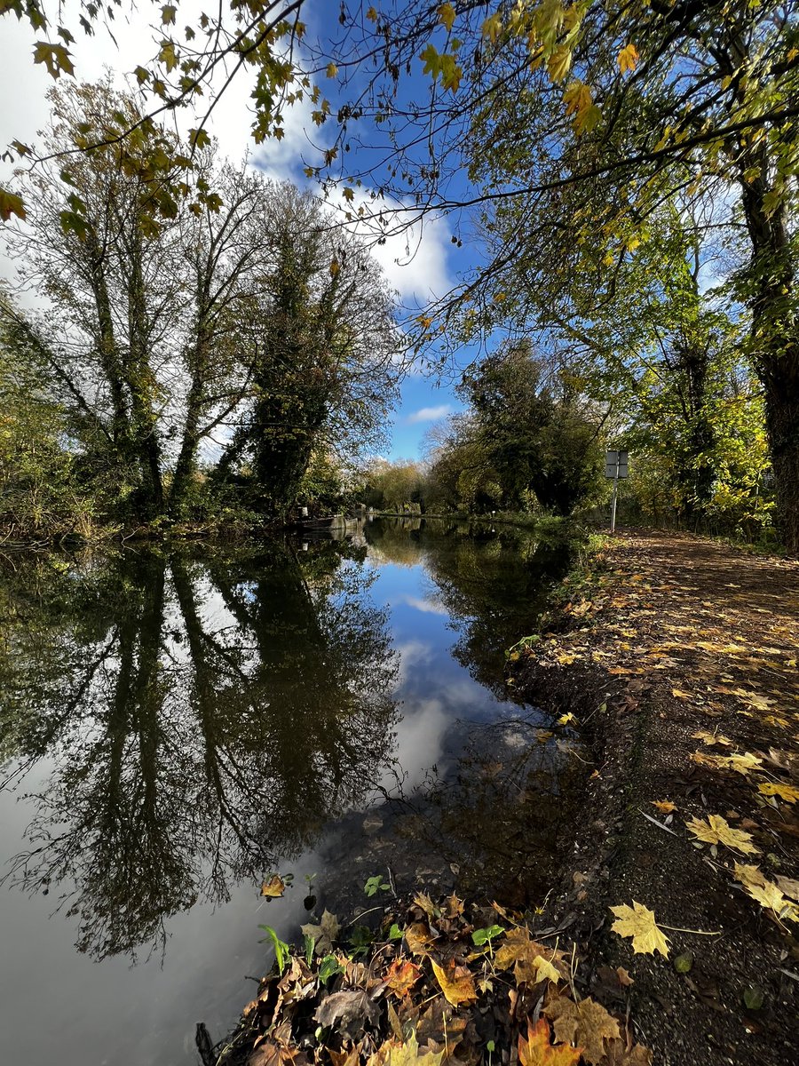 fionacue1's tweet photo. Kennet &amp; Avon Canal #canal #newbury #visitnewbury #kennetandavon #lateautumn #water #wintersunshine #prettylight #beautifulday #gratitude #reflections #lesves #fallenleaves https://t.co/jG9UfrTIfh