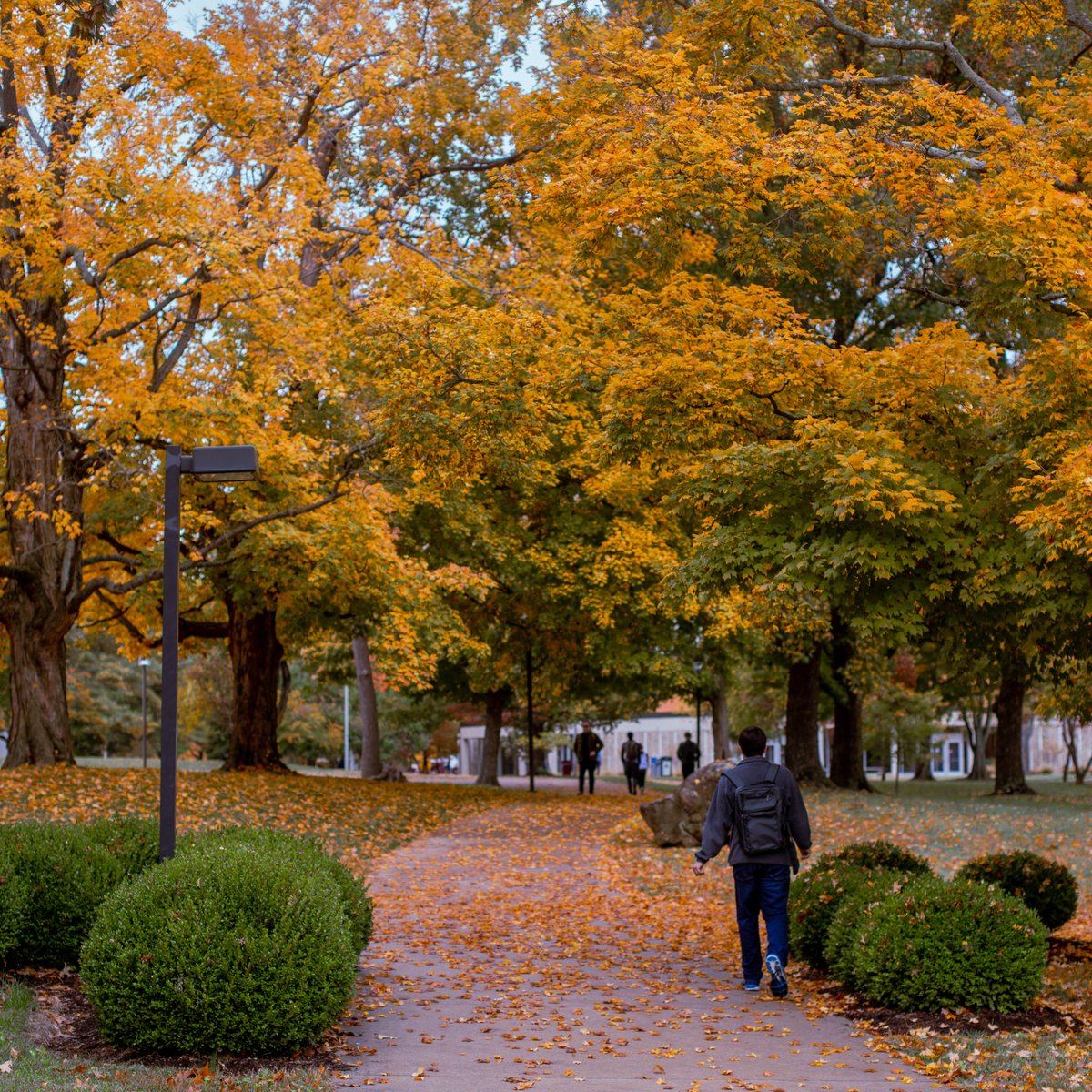 Happy Thanksgiving, Salukis! We hope you are enjoying your time off and know how thankful we are that you are a part of the Saluki family! #thisisSIU