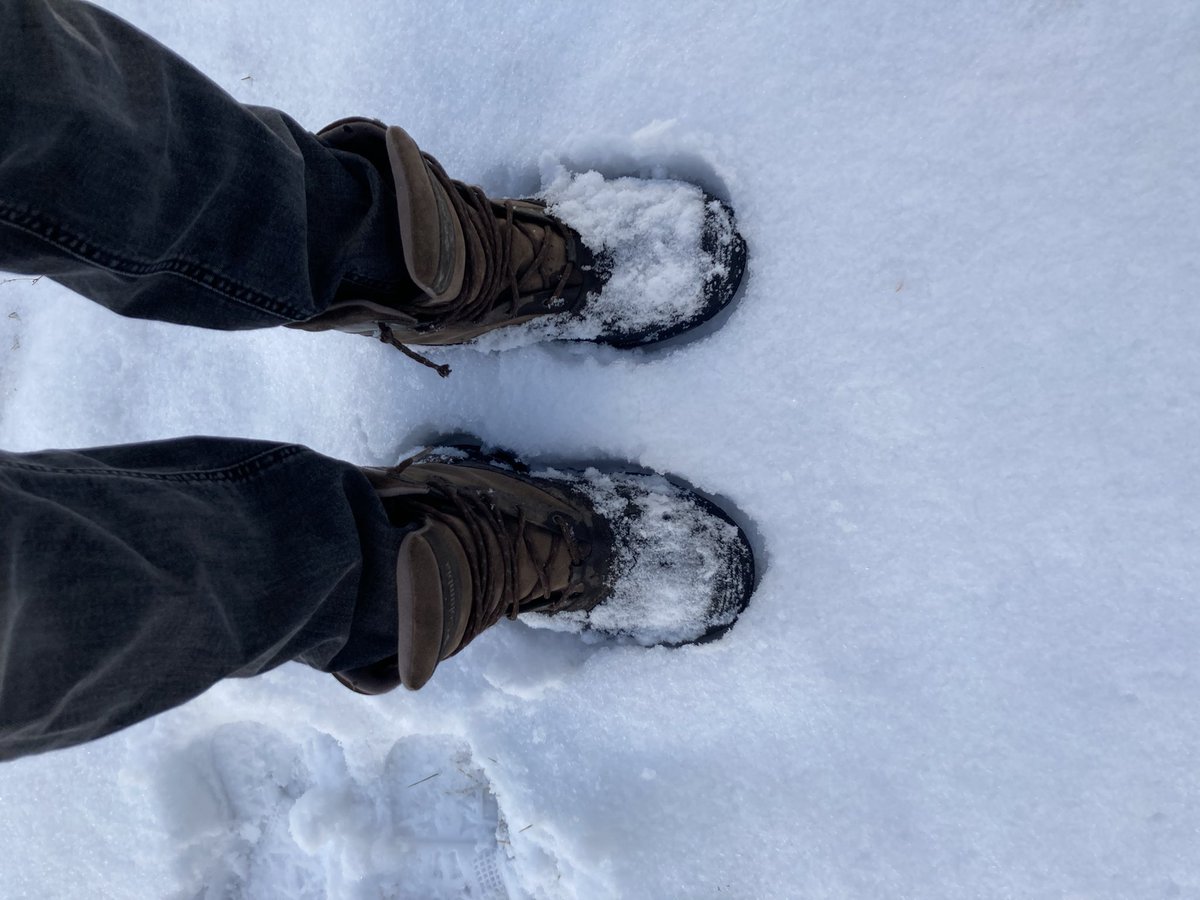 Jonathan Cinnamon tweet media