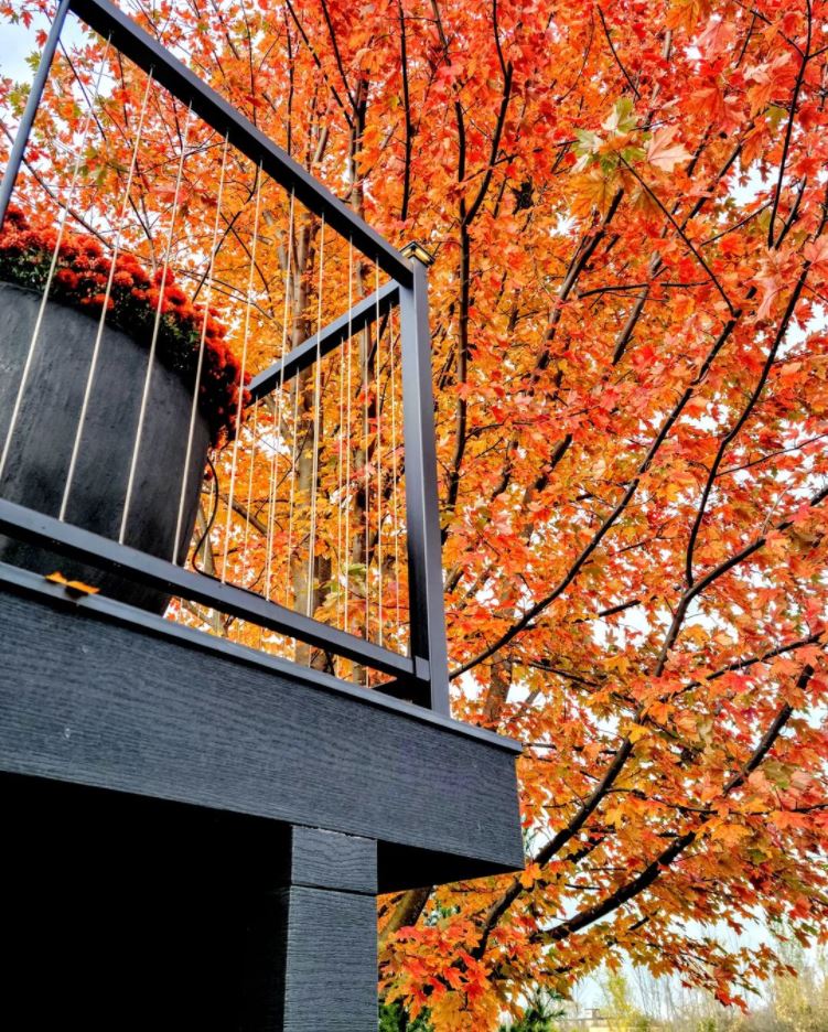 Of all the things we build, our foundation of gratitude for our friends, family and community is the strongest. 💪

From the Fortress family to yours, we wish you a wonderful Thanksgiving! 🦃

Beautiful deck and image by the craftsman himself, Simcoe Decks 👊