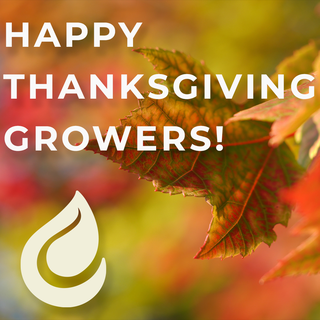 Happy Thanksgiving from our family here at GrowersHouse, to yours.