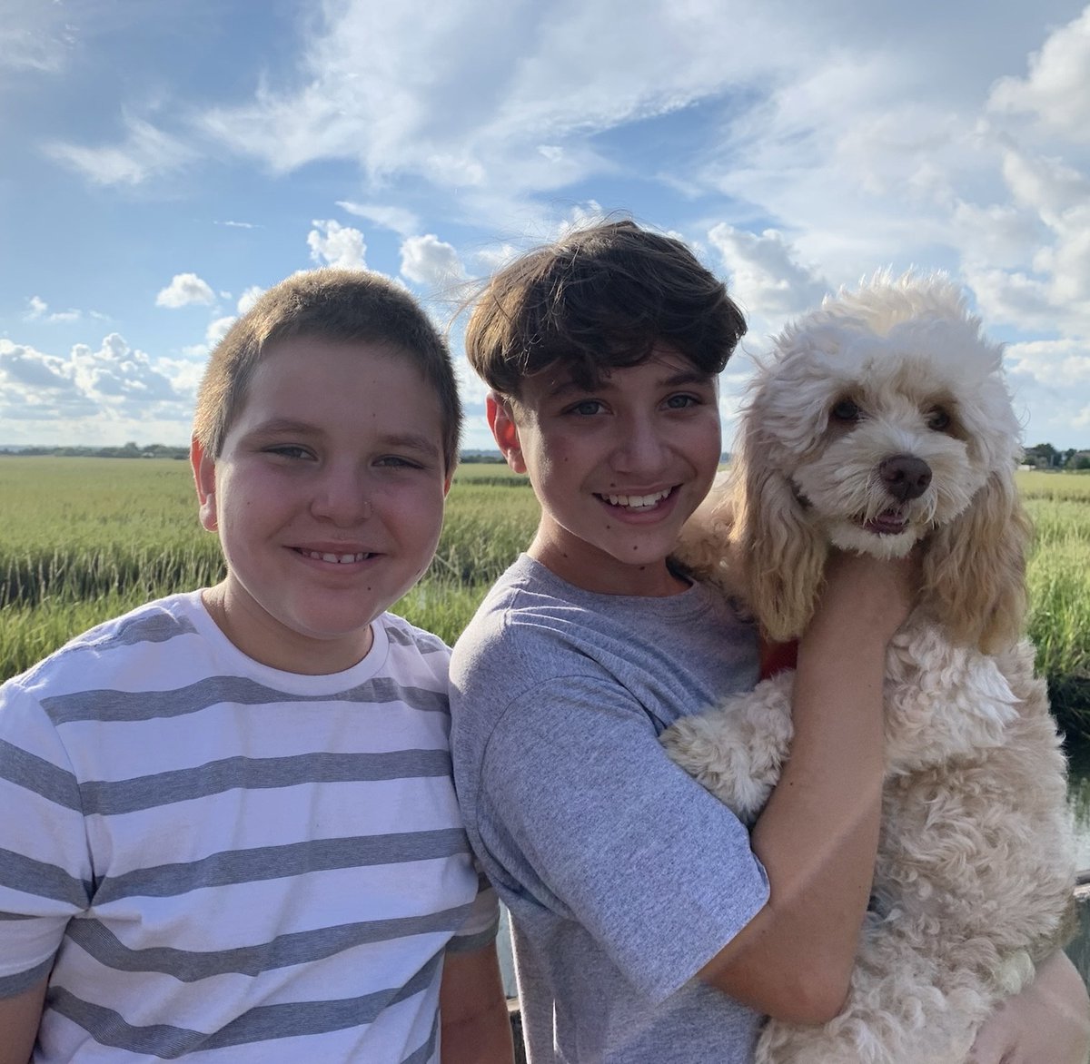 Tweet by NC State Vet Medicine