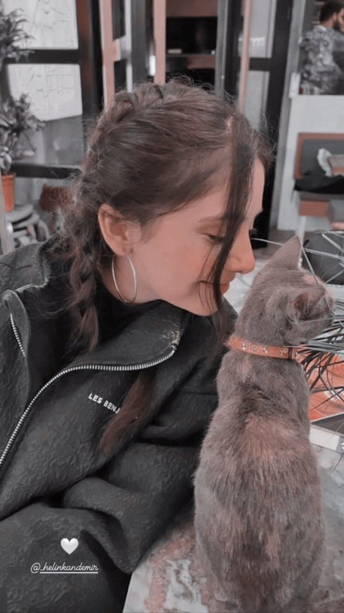 user282783378's tweet photo. Ve ben derdim ki; kediler ve şarkılar,bize yeterli değil. 🦋

#helinkandemir https://t.co/tcLxURMm4P