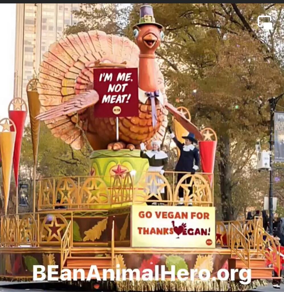AnimalHeroKids's tweet photo. We popped into the Macys Day Parade with a message from the turkeys 
Be an Animal Hero Enjoy a vegan thanksgiving.  #thanksgiving #thanksvegan #thanksgiving2022 #turkeys #vegan #beananimalhero #animalherokidsWe popped into the Macys Day Parade with a message from the turkeys… https://t.co/6SCXpLDClN