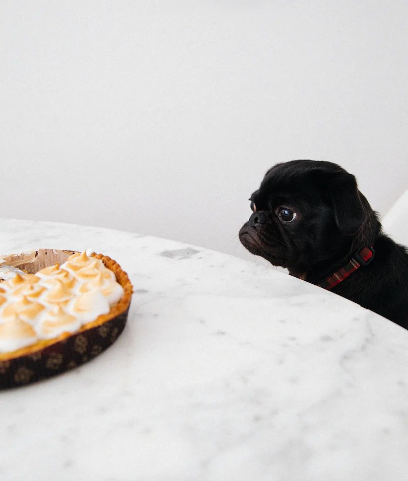 AAUW_ESKBranch's tweet photo. May your day be full of #thanks and #giving. And perhaps a little pie too! 
.
.
.
Image sourced via Unsplash by Charles DeLuvio. https://t.co/4ghM8YenZA