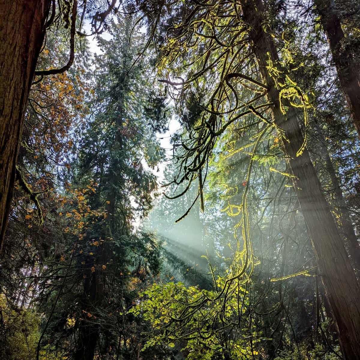 I'm thankful for anyone that has ever supported my work. ❤️💛🧡❤️