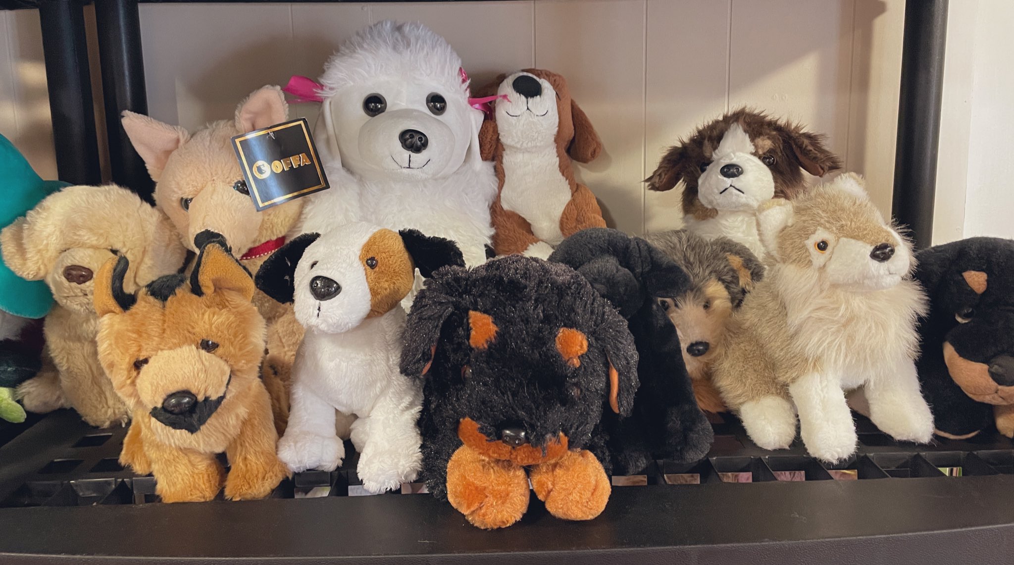 Stuffed Animal Rescue🩹🧸 on Twitter "Spending the morning organizing