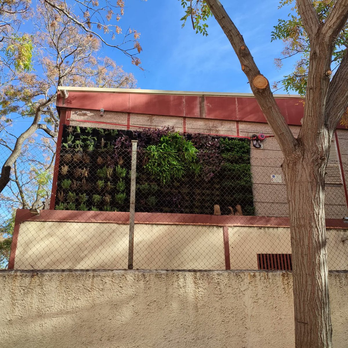 BioEcoLoops's tweet photo. Hoy en tuvimos la oportunidad de visitar los pilotos de @GrowGreenCities de @LasNavesINN de @AjuntamentVLC  con un grupo de emprendedores para ver soluciones basadas en la Naturaleza para tener ciudades más sostenibles 🌱

@t_implica
#roperofractal 
#Estelle_Giacomi https://t.co/hKceicSwUZ