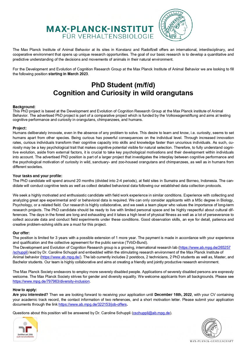 caroline tweet media