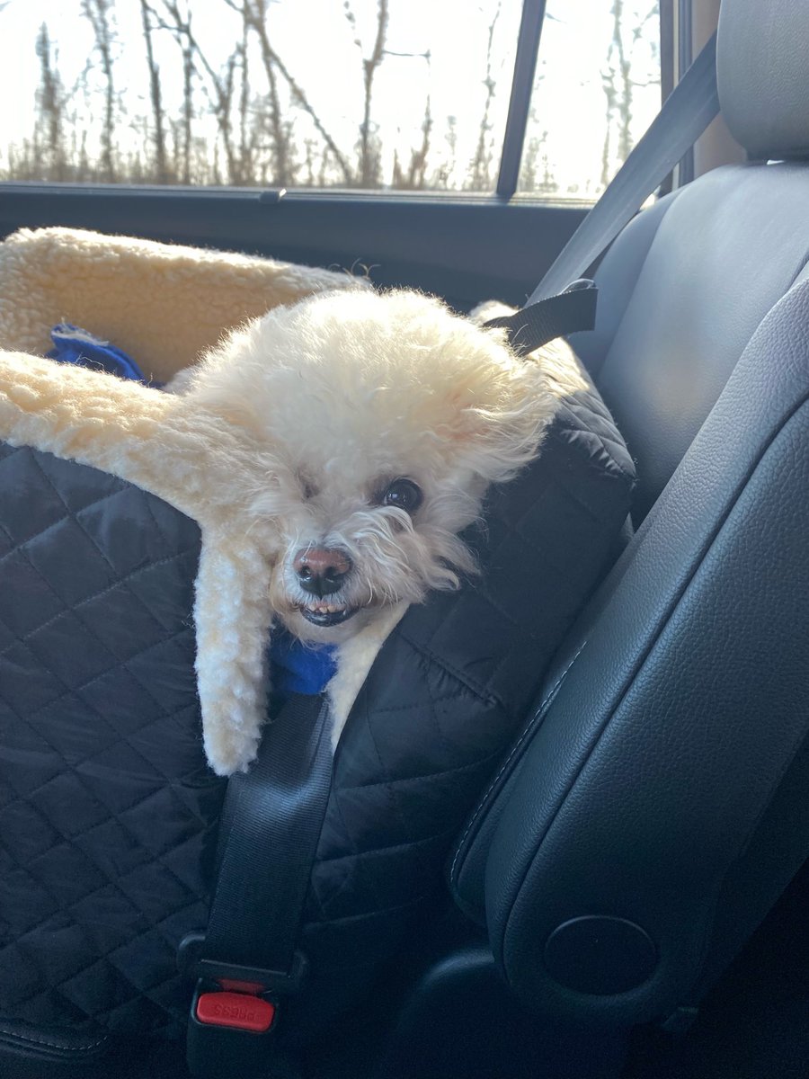 I’m on my way to gma’s house.  I’m crying and staring at the lil girl cuz I just want to be there already! #HappyThanksgiving #Thankful ❤️