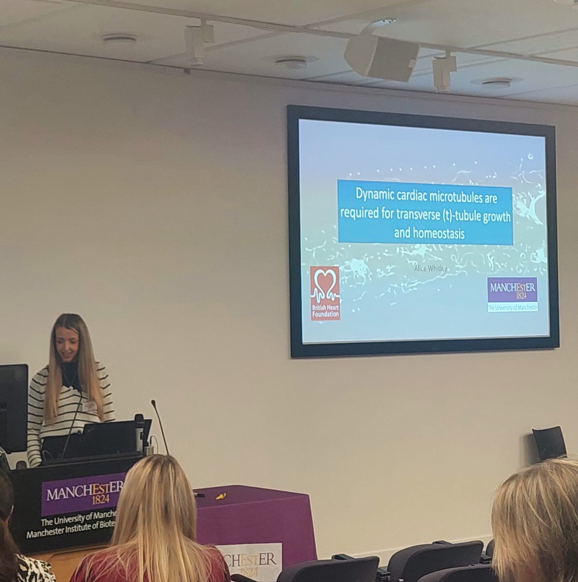 Alice Whitley tweet media