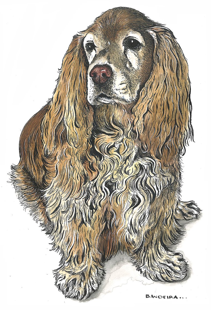 GraemeBandeira's tweet photo. Another commission finished today. Meet Rufus - Leeds fan apparently. If you'd like a pet portrait then do get in touch. More here: https://t.co/0CUIlSbHX5 https://t.co/kKkZTK9UZN
