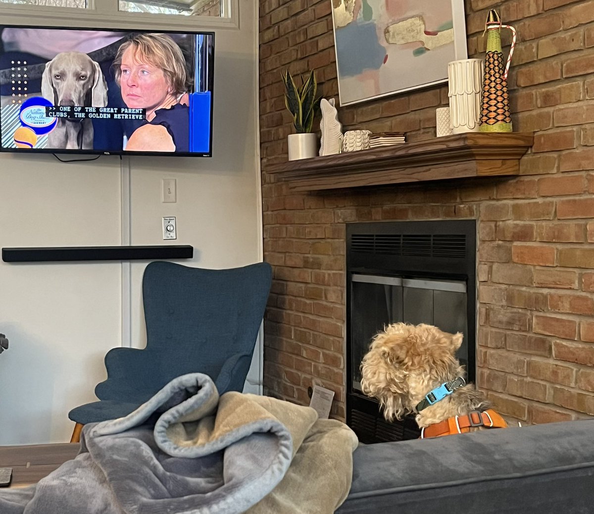 BramleyLakeland's tweet photo. My hoos decided to take a break from the dogs and have a snackโIโve decided the dogs are more important.
M loves how much I love the tv ๐บ
@TheNatlDogShow #DogThanking @purina @ProPlan https://t.co/TNw2qHUmWS