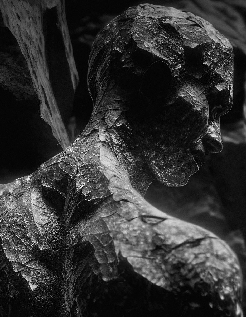 Iwagumi 岩組
——
#01
——