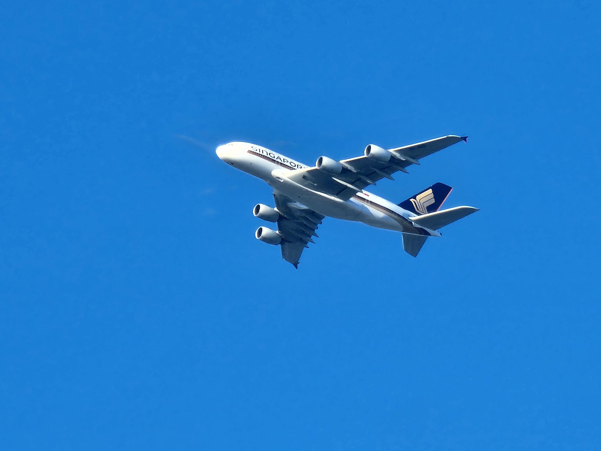 golden-reviewer-on-twitter-lol-this-9v-skq-was-the-exact-aircraft