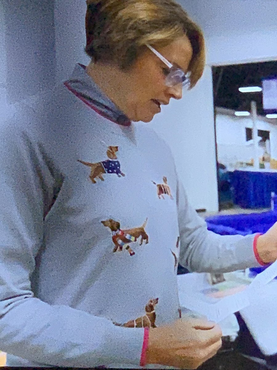 MsCallieGodwin's tweet photo. I must find out how to get myself Mary Carillo’s dachshund holiday sweater. 🖤🥰🐾 #nationaldogshow https://t.co/IPUnCsF3pA