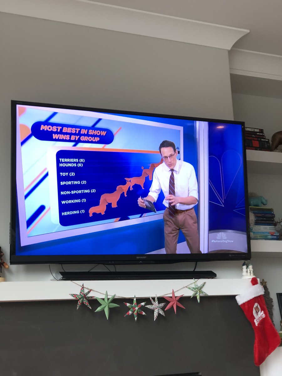 Care_Lynn's tweet photo. #stevekornacki on the #nationaldogshow is the crossover i didn’t know i needed. is this his election coverage chaser?? 🤔 https://t.co/56CBGuF46c