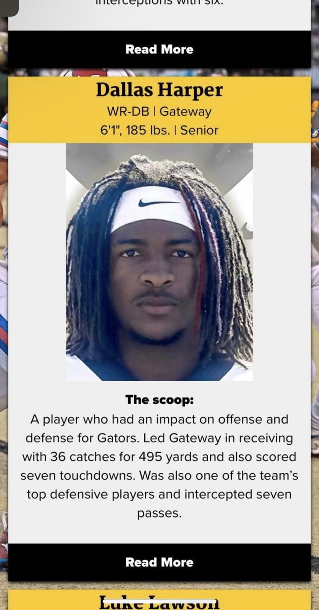 Dallas Harper tweet media