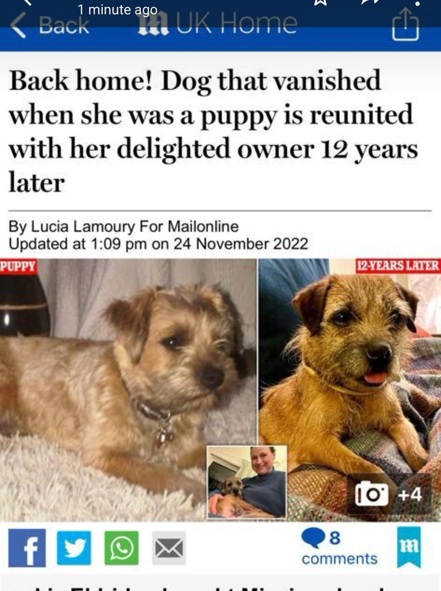 glebefarmschool's tweet photo. ARE YOU READY FOR THE BEST FEEL GOOD STORY EVER? 💛💚🐶

Our lovely Year 1 teacher Miss Jackson rescued a dog from the roadside, only for it to be returned to the owners 12 YEARS after being stolen! You couldn't make it up! Kindness costs nothing ❤️ https://t.co/BEqSZz7sUN