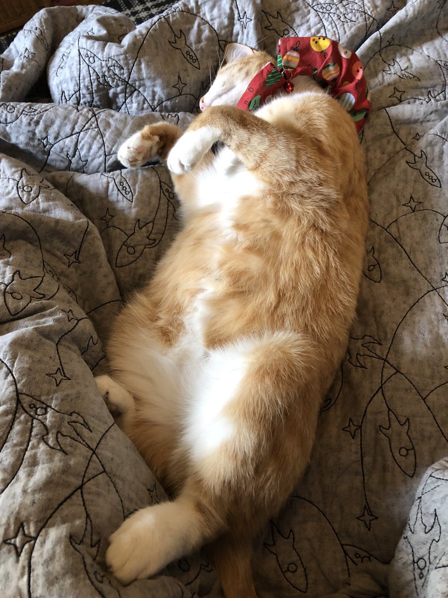 This murderous little monster is SO SWEET when he sleeps