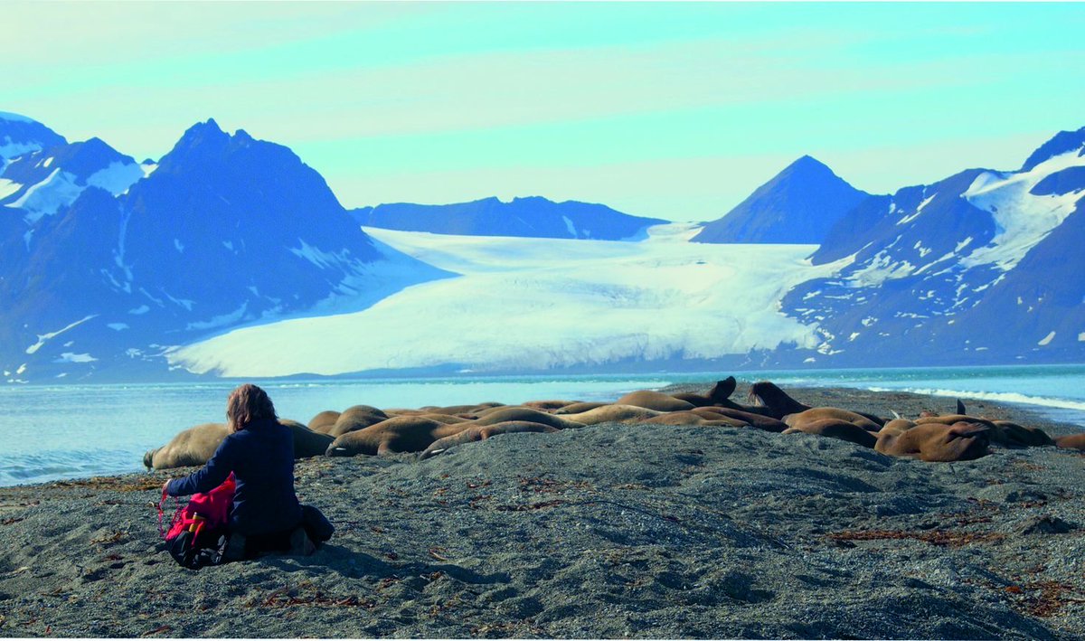 For #WorldWalrusDay throwback to a special moment spent marvelling at walrus during fieldwork in #Svalbard  #Arctic with @PeterTFretwell <a href="/BAS_News/">British Antarctic Survey 🐧</a> <a href="/wwf_uk/">WWF UK</a>

Cool video about the fieldwork 🎥 youtu.be/bwP0EBt6wz8

You can help with the science: wwf.org.uk/learn/walrus-f…