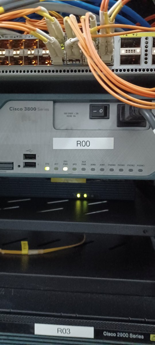 Nico TSHINTU tweet media