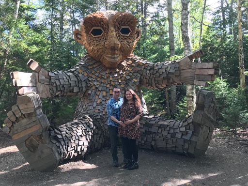 Özgür Çapraz tweet media