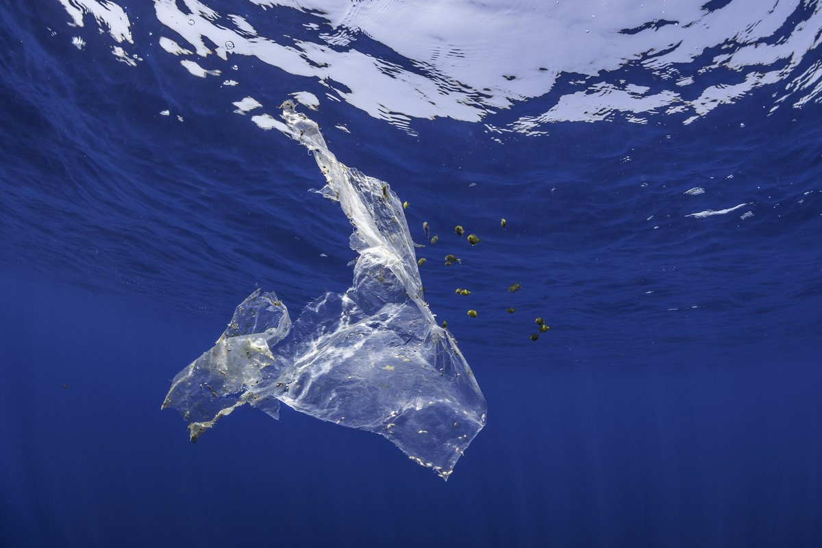 Canada supports the <a href="/HACplastic/">High Ambition Coalition to End Plastic Pollution</a> call for global action to #EndPlasticPollution by 2040.  

Read the Coalition’s statement: ow.ly/Kcsn50LNgPP